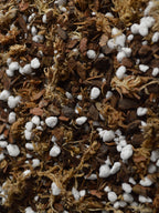 close up of premium Orchid Repotting Mix